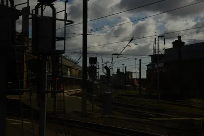 DSC_7198 (Large).JPG